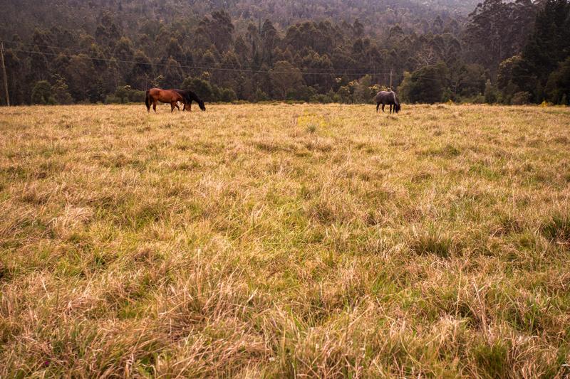 3 Bedroom Property for Sale in Plettenberg Bay Rural Western Cape